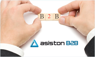 System B2B Asiston